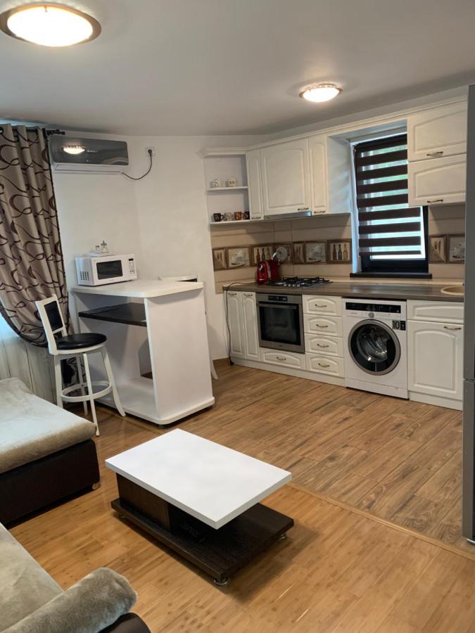 Apartament Micsunelelor Cu Parcare Privata Jassy Zewnętrze zdjęcie