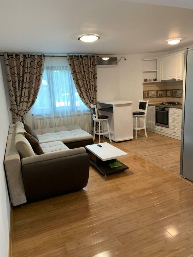 Apartament Micsunelelor Cu Parcare Privata Jassy Zewnętrze zdjęcie